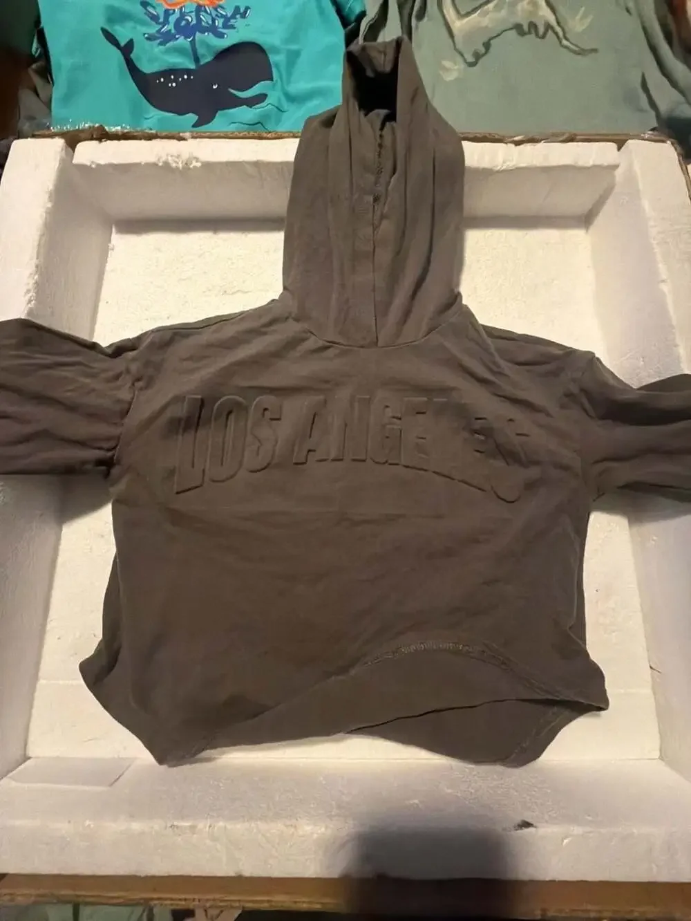 Set of 3 Kids Boys Tops and Hoodie, Size 5T